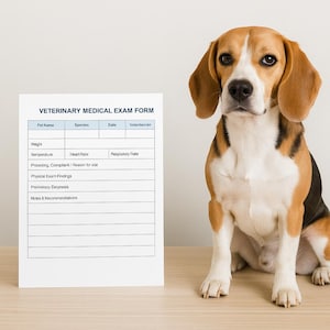 Editable Veterinary Patient Admission Form – Printable Pet Intake Sheet, Fillable PDF Vet Clinic Form, Animal Medical Record Template