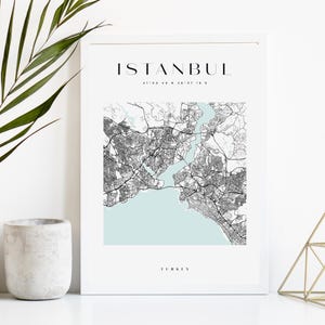 May include: A framed print of the Istanbul city map, with the city name at the top. The map is in black and white with a light blue water area. A white vase with a green plant and a small gray pot are on the left.