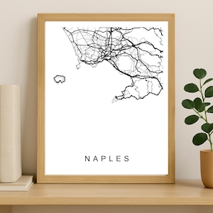 Naples City Map Print, Printable City Poster, Digital Download Map Art, Minimalist Street Map, Modern Wall Art, City Map Gift