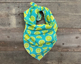 Summer Limes Fruit Tie On Dog Bandana