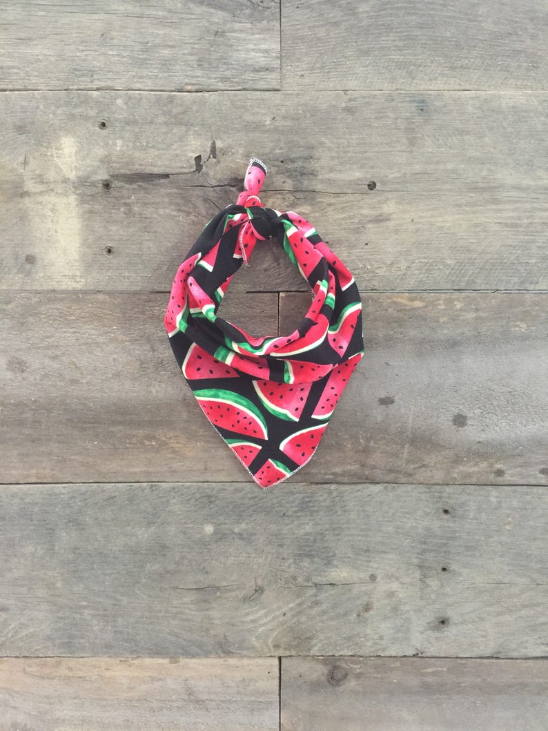 Bright Watermelon Summer Fruit Tie On Dog Bandana