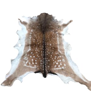 May include: A deer hide rug with a natural spotted pattern in shades of brown and white. The hide is spread out, showcasing its shape and texture. The rug is likely used as a decorative floor covering.
