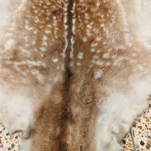 May include: A natural deer hide with a brown and white spotted pattern. The hide has a central dark brown stripe and a soft, textured appearance. The color palette includes shades of brown, tan, and white, creating a rustic aesthetic.
