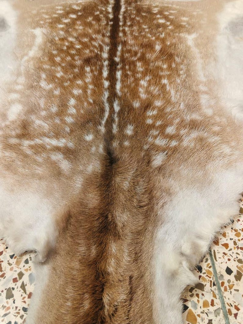 May include: A natural deer hide with a brown and white spotted pattern. The hide has a central dark brown stripe and a soft, textured appearance. The color palette includes shades of brown, tan, and white, creating a rustic aesthetic.