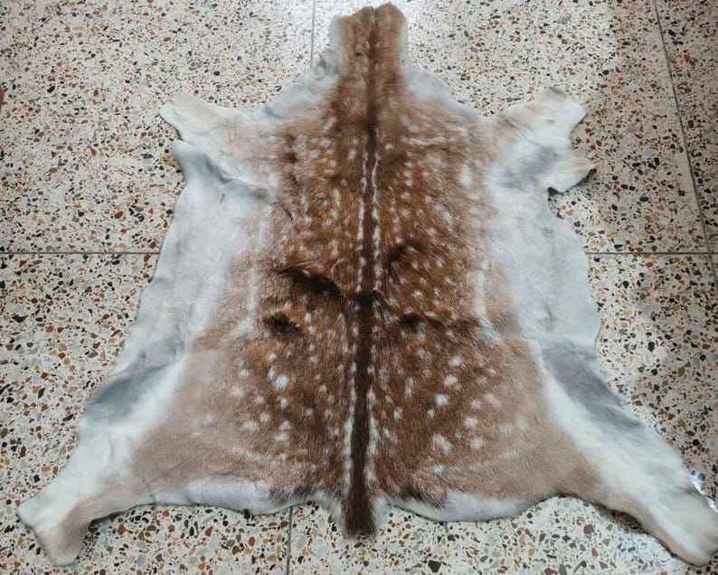 May include: A deer hide rug with a natural spotted pattern in shades of brown, white, and gray. The rug has a symmetrical design, with the spine running down the center. The hide is soft and appears to be well-preserved.