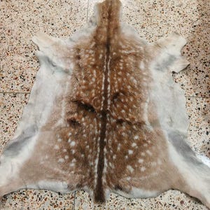 Deer Hide Rug • Spotted Fawn Print, Rustic Western Decor