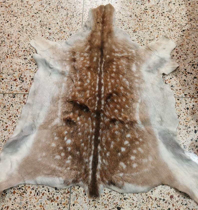 May include: A deer hide rug with a natural pattern of brown and white spots. The hide has a central brown stripe and is surrounded by a lighter, off-white border. The rug is laid out flat, showcasing its shape and texture.