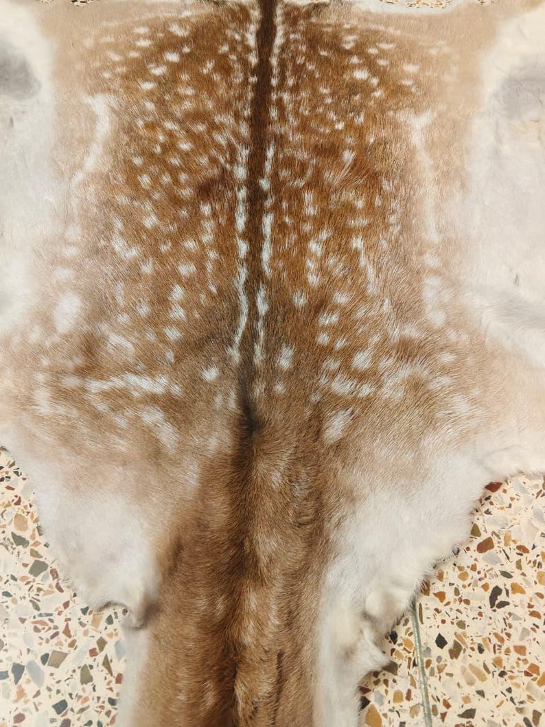 May include: A natural deer hide with a brown and white spotted pattern. The hide has a central dark brown stripe and a soft, textured appearance. The color palette includes shades of brown, tan, and white.