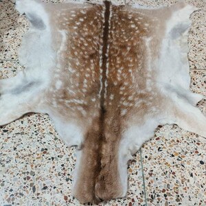 May include: A natural deer hide rug, featuring a pattern of brown spots on a tan background. The hide has a central brown stripe and white edges, with the shape of the deer's body and legs visible.