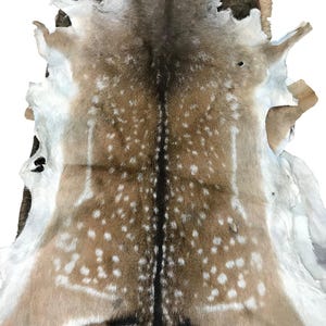 May include: A deer hide with a natural pattern of brown, tan, and white spots. The hide has a dark brown stripe down the center and white edges. The fur is short and dense, and the hide is likely used for decorative purposes.