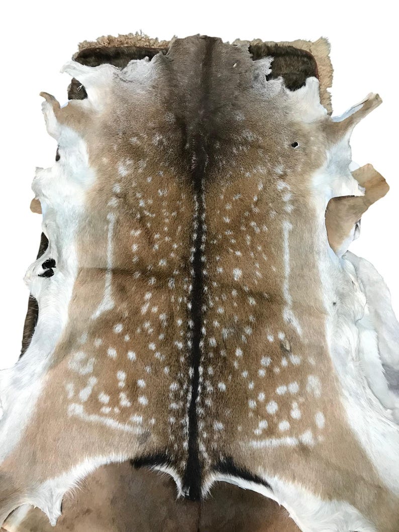 May include: A deer hide with a natural pattern of brown, tan, and white spots. The hide has a dark brown stripe down the center and white edges. The fur is short and dense, and the hide is likely used for decorative purposes.