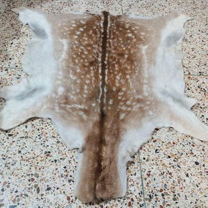 May include: A deer hide rug with a natural spotted pattern in shades of brown and white. The hide is spread out, showcasing its shape and texture. The rug is likely used for home decor.