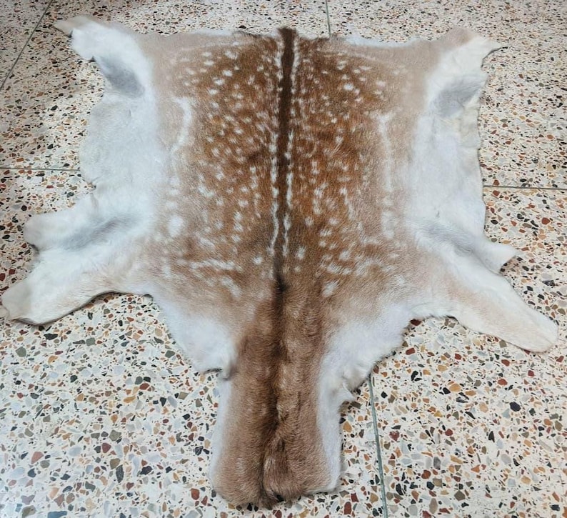 May include: A deer hide rug with a natural spotted pattern in shades of brown and white. The hide is spread out, showcasing its shape and texture. The rug is likely used for home decor.