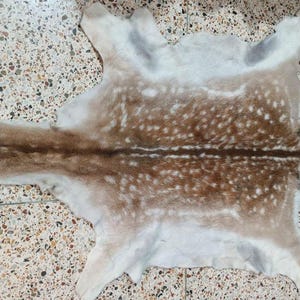 May include: A natural deer hide rug with a spotted pattern in shades of brown and white. The hide has a soft, textured appearance and is laid out on a speckled tile surface. The rug is a unique home decor item.