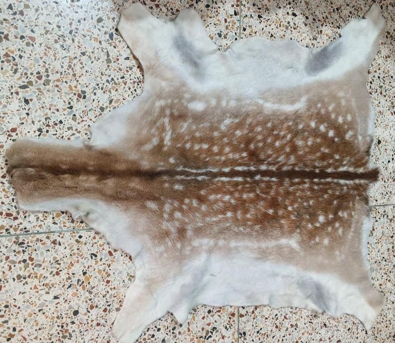 May include: A natural deer hide rug with a spotted pattern in shades of brown and white. The hide has a soft, textured appearance and is laid out on a speckled tile surface. The rug is a unique home decor item.