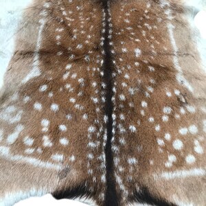 May include: A natural deer hide rug with a brown and white spotted pattern. The hide features a dark brown stripe down the center and white edges. The rug is a unique home decor item.