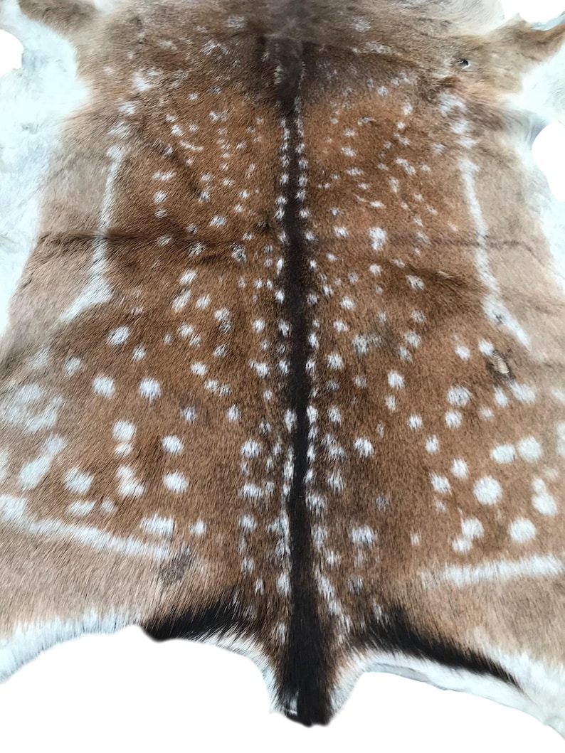 May include: A natural deer hide rug with a brown and white spotted pattern. The hide features a dark brown stripe down the center and white edges. The rug is a unique home decor item.