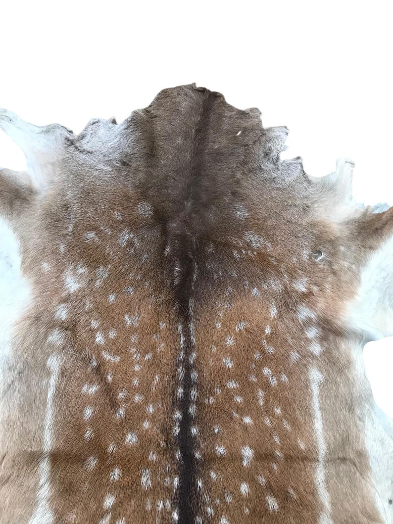 May include: A natural deer hide with a brown and white spotted pattern. The hide has a dark brown stripe down the center and lighter brown edges. The fur is soft and appears to be well-preserved, with a natural texture.