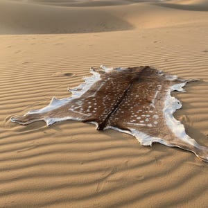 May include: A brown and white spotted animal hide rug lies on rippled sand dunes under a warm, golden sky. The hide has a dark brown center with white spots and a white border, creating a natural, rustic aesthetic.