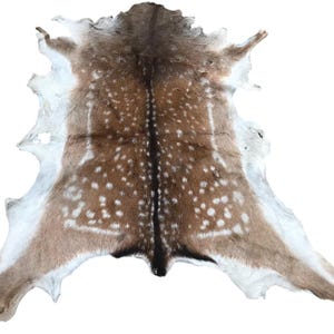 May include: A deer hide rug with a natural pattern. The hide features a brown and tan color scheme with white spots and edges. The rug is laid out flat, showcasing its shape and texture.