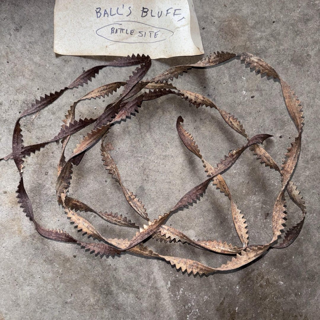 Rare Antique Barbed Wire Allis Sawtooth Ribbon 1881-1899 See ...