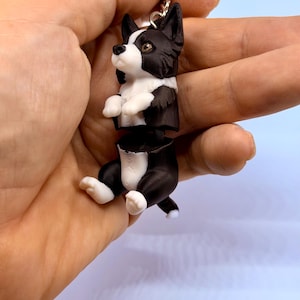 Può includere: Un portachiavi a forma di cane bianco e nero. Il portachiavi presenta una piccola figura tridimensionale di un cane con corpo nero, petto bianco e zampe bianche. Il cane è attaccato a un portachiavi color argento.