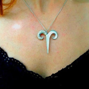 May include: A silver necklace with a ram's head pendant. The pendant is detailed and has a curled horn.