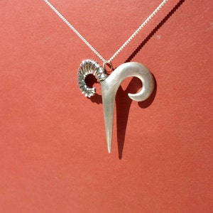 May include: A silver necklace with a pendant shaped like a ram's horn. The pendant has a spiral design at the top.