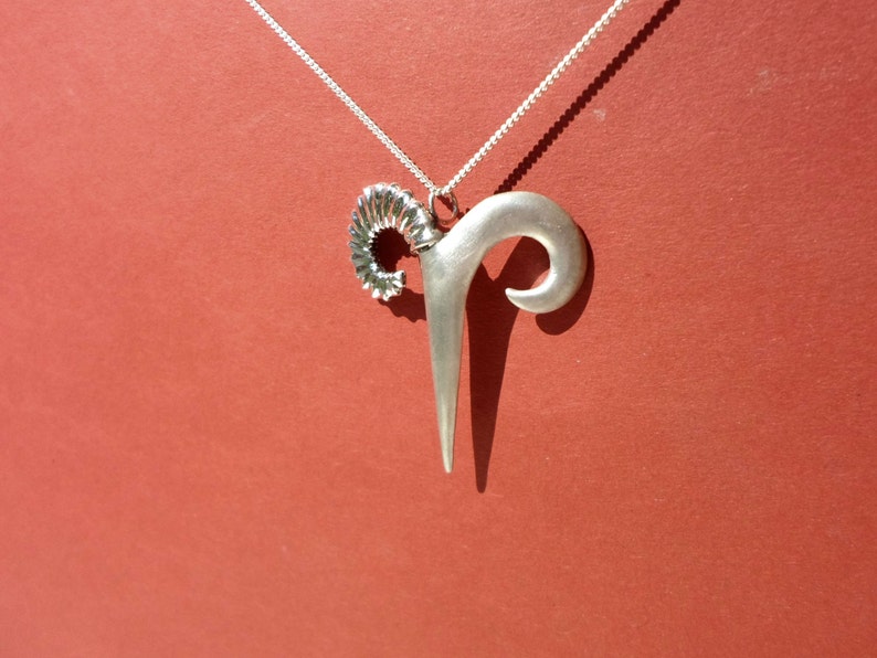 May include: A silver necklace with a pendant shaped like a ram's horn. The pendant has a spiral design at the top.