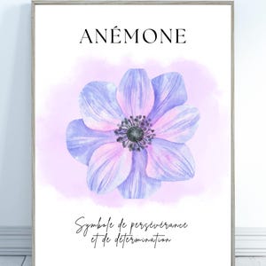 Purple anemone flower poster, symbolic flower poster, minimalist poster