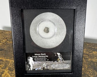 Moon Rock Lunar Meteorite
