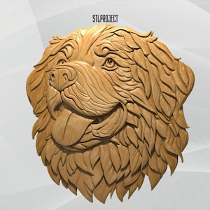 Berner Sennenhund 3D STL Relief Design - Ideal für CNC-, Router- und 3D-Druckprojekte, inklusive Höhenkarte | DigitalDownload