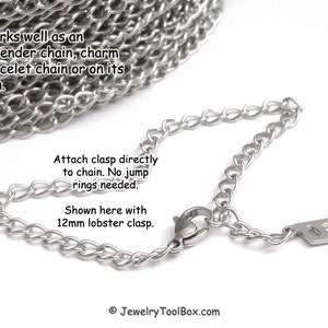 May include: Silver chain with a 12mm lobster clasp. The chain can be used as an extender chain, charm bracelet chain, or on its own. "Attach clasp directly to chain. No jump rings needed. Shown here with 12mm lobster clasp."