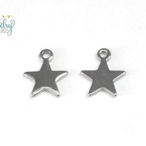 May include: Two silver star-shaped charms with a loop at the top. The charms are made of metal and have a shiny finish.