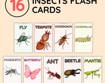 16 Insect Flash Cards, Insects Printable, Educational Learning Cards, Kids Preschool Activity, Montessori Cards, Digital Download
