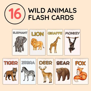 16 cartes-éclair animaux sauvages, cartes-éclair animaux, safari dans la jungle à imprimer pour les enfants, apprentissage des tout-petits, cartes-éclair préscolaire, téléchargement numérique