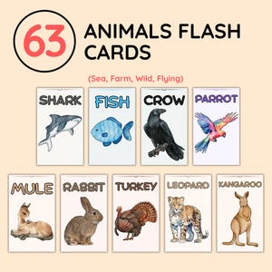 Lot de 63 cartes-éclair animaux, ensemble d'apprentissage imprimable sur les animaux pour enfants, cartes-éclair pour enfants d'âge préscolaire et tout-petits, téléchargement numérique, école à la maison