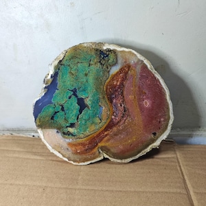 Polished Agateized Petrified Wood Slab: Fossilized Wood Decor, 1.15kg