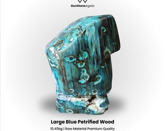 12) 大きな化石化した木の切り株 - Etsy 日本