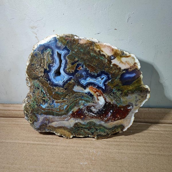 Polished Agatezed Petrified Wood Slab: Fossilized Home Decor Stone (1300g)