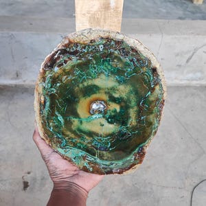 May include: A circular slice of petrified wood featuring a polished surface with concentric rings in shades of deep forest green, earthy brown, and tan. The centre contains a small, bright white crystalline inclusion, surrounded by intricate mineral veining.