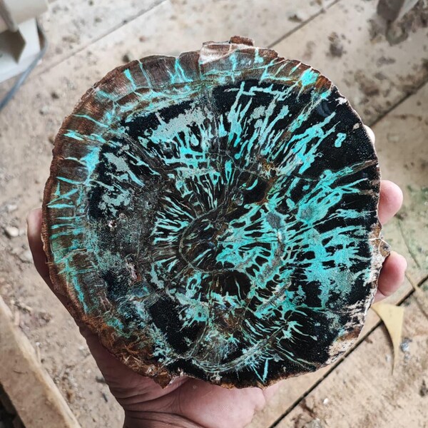 Round Polished Petrified Wood Slab – Blue Green Mineral Pattern – Natural Fossil Wood Display – 1220g
