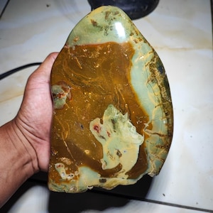 Large Polished Opalized Wood Agate: Multicolor Fossilized Stone Decor