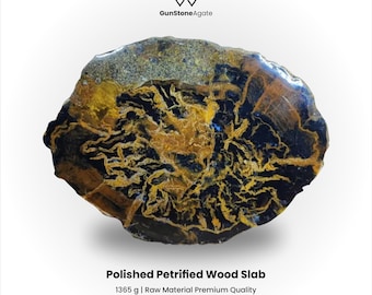 化石木の枝 - Etsy 日本