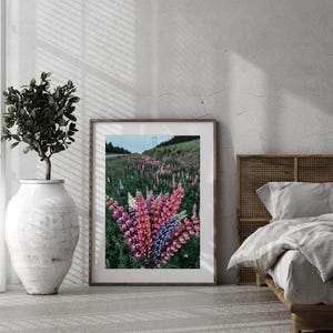 Lupines flowers Printable Wall Art, Travel Photography Digital Download, flowers and Sky Landscape for Home Decor