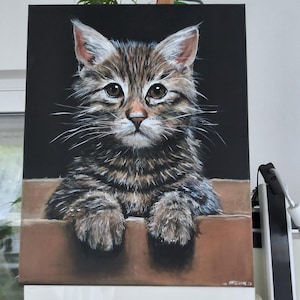 Kat in doos, acryl op canvas 40 x 50 cm