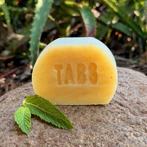 May include: A yellow bar of soap with the word "TABS" embossed on the front. A sprig of green mint leaves rests in front of the soap. The soap is on a rock, with green foliage in the background.