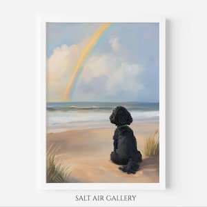 May include: A framed art print shows a black dog on a sandy beach, looking at a rainbow over the sea. The sky is cloudy, and the artwork is signed "SALT AIR GALLERY" at the bottom.
