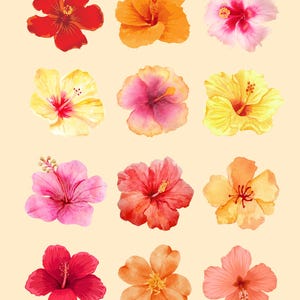 Tropisches Hibiskus Blumen Poster - druckbare Wandkunst, Aquarell Blumendekor