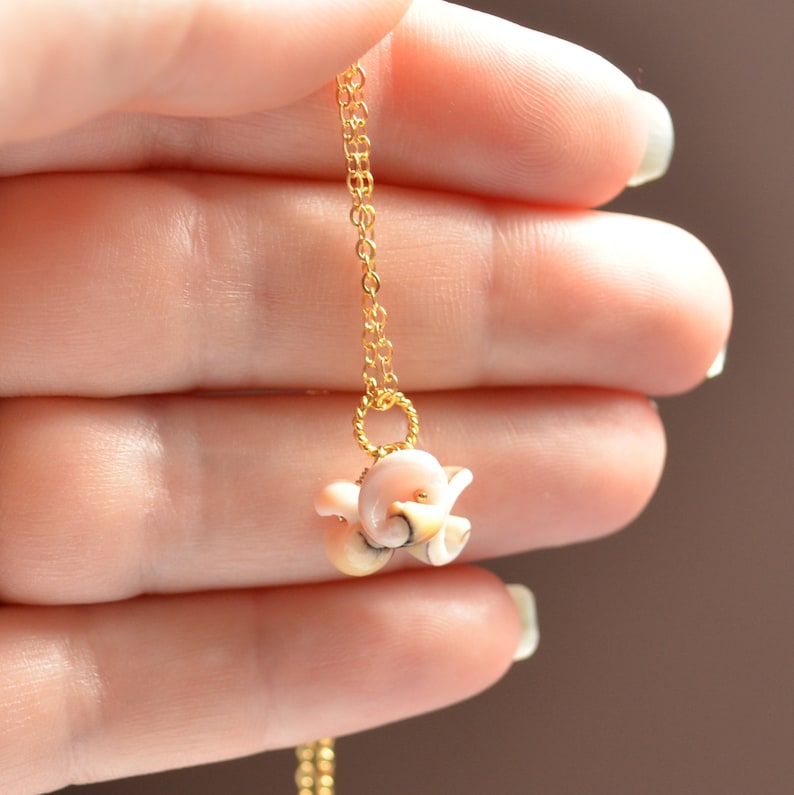 Beach Jewelry Real Seashell Gold Filled or Sterling Silver Bridesmaid Sea Shell Necklace Free Shipping Pale Pink